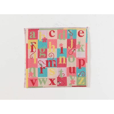 Pink Alphabet Blanket/Rug                                   