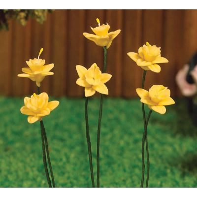 Spring Daffodils, 6 pcs                                     