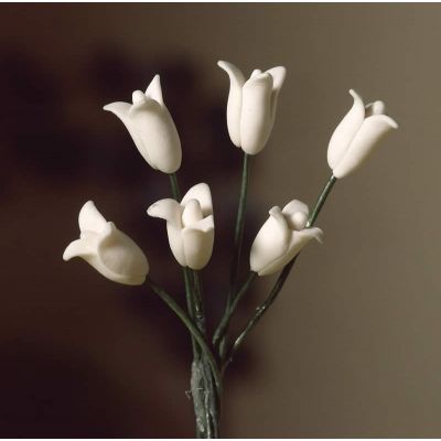 White Tulips, 6 pcs                                         