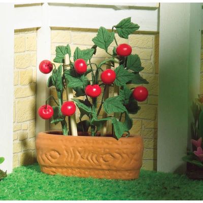 Juicy Tomato Plant in a Pot                                 