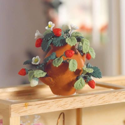 Strawberry Plants in a Pot                                  