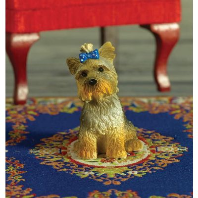 Boo the Yorkshire Terrier Dog (PR)                          