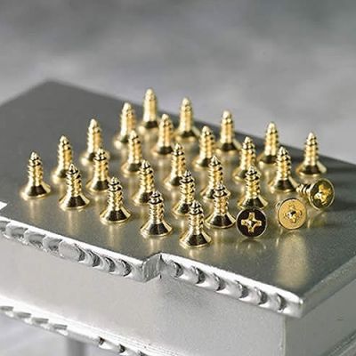 Screws for Cranked Hinges, 28 pieces                        