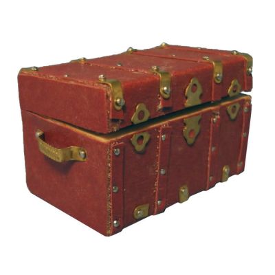 Brass & Leather Chest