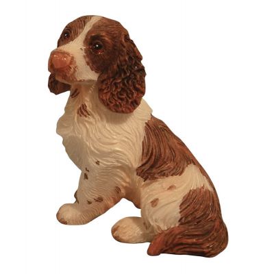 Sitting Springer Spaniel