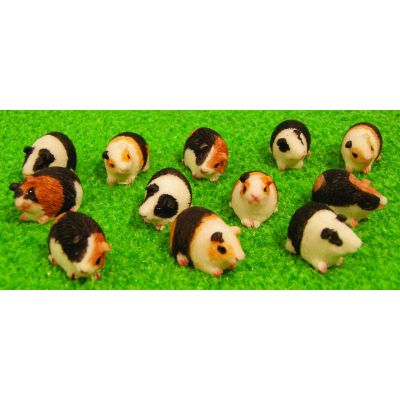 Guinea Pigs asst (priced each)