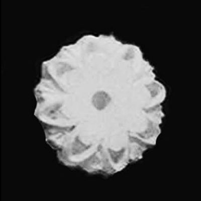 Ceiling  Rose  20mm