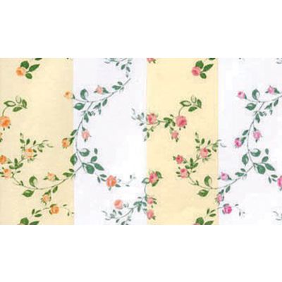 Apricot/White